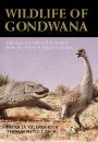 The Wildlife of Gondwana