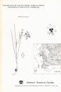 Systematics of the Southern African Genus Geissorhiza (Iridaceae - Ixioideae)
