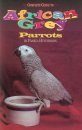 Complete Guide to African Grey Parrots