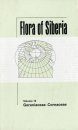 Flora of Siberia, Volume 10: Geraniaceae - Cornaceae