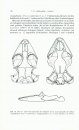 Handbuch der Reptilien und Amphibien Europas, Band 1: Echsen (Sauria) I