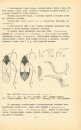 Insects of Mongolia, Volume 9 [Russian]
