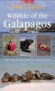 Collins Safari Guide: Wildlife of the Galapagos