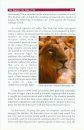 Asiatic Lion: On the Brink