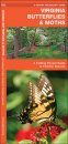 Virginia Butterflies & Moths