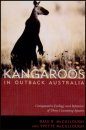 Kangaroos in Outback Australia