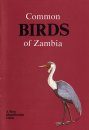 Common Birds of Zambia