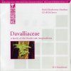Davalliaceae: A Family of World (Sub)Tropical Ferns