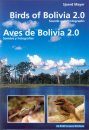 Birds of Bolivia 2.0: Sounds and Photographs / Aves de Bolivia 2.0: Sonidos y Fotografías