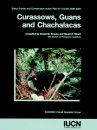 Curassows, Guans and Chachalacas