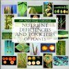 Nutrient Deficiencies and Toxicities of Plants