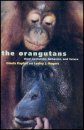 The Orangutans