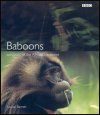 Baboons: Survivors of the African Continent