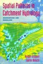 Spatial Patterns in Catchment Hydrology