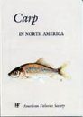Carp in North America