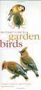 The Pocket Guide to Garden Birds