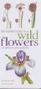 The Mitchell Beazley Pocket Guide to Wild Flowers of Britain and Europe