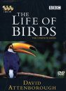 The Life of Birds - DVD (Region 2 & 4)