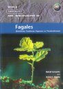 World Checklist and Bibliography of Fagales (Betulaceae, Corylaceae, Fagaceae and Ticodendraceae)