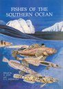 Fishes of the Southern Ocean