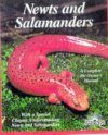 Newts and Salamanders