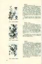 Atlas of Woody Plants in Henan [Chinese]