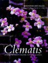 Clematis the Genus