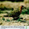Bird Songs and Calls of Britain and Europe, Volume 2: Gamebirds to Sandgrouse