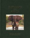 Elephants for Africa