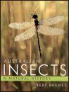 Australian Insects: A Natural History