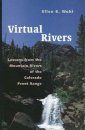 Virtual Rivers