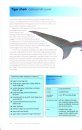 The Shark-Watcher's Handbook