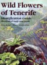 Wild Flowers of Tenerife: Identification Guide