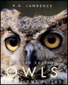 Owls: The Silent Fliers