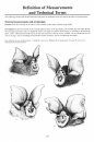 Horseshoe Bats of the World (Chiroptera: Rhinolophidae)