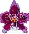Orchids: From the Archives of the Royal Horticultural Society