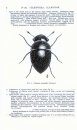RES Handbook, Volume 4, Part 6a: Coleoptera - Clambidae