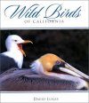 Wild Birds of California