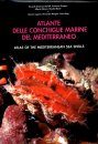 Atlas of the Mediterranean Seashells / Atlante delle Conchiglie Marine del Mediterraneo, Volume 7
