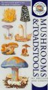Kingfisher Field Guide to Mushrooms and Toadstools of Britain and Europe