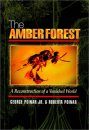The Amber Forest