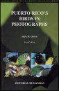 Puerto Rico's Birds in Photographs