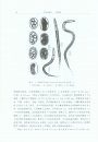 Fauna Sinica: Invertebrata, Volume 25: Nematoda: Rhabditida: Strongylata (I) [Chinese]