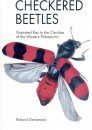 Checkered Beetles