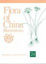 Flora of China Illustrations, Volume 24