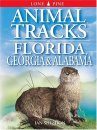 Animal Tracks of Florida, Georgia and Alabama