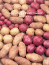 Compendium of Potato Diseases
