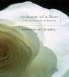 Anatomy of a Rose: The Secret Life of Flowers