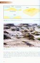 Namibias Faszinierende Geologie: Ein Reisehandbuch [Namibia: Fascination of Geology: A Travel Handbook]