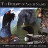 The Diversity of Animal Sounds